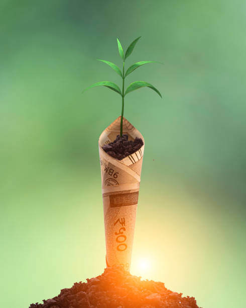 Other Mutual Fund Other Mutual Fund