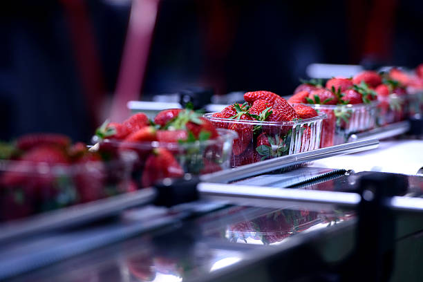 Star Micro Food Processing Enterprises Scheme Star Micro Food Processing Enterprises Scheme
