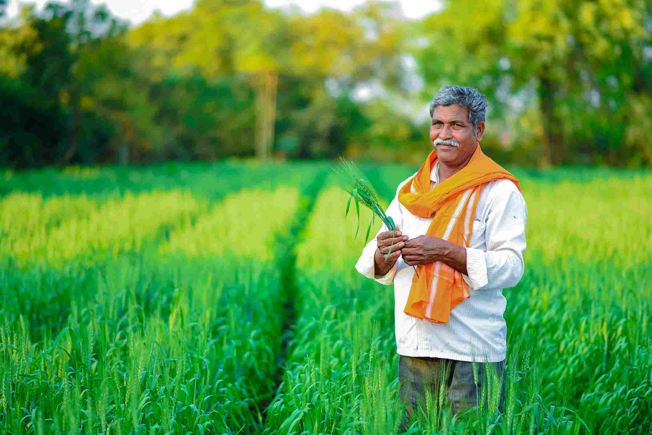 पीक उत्पादनासाठी केसीसी