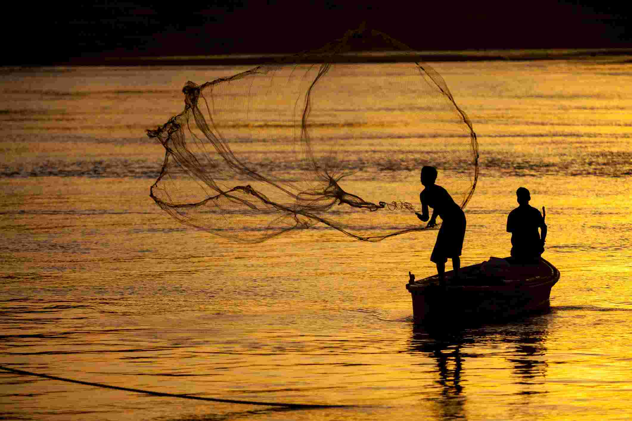 સ્ટાર પિસ્કીકલચર સ્કીમ્સ (એસપીએસ)