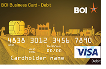 Visa Business Debit card