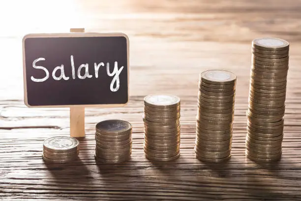 Government Salary account