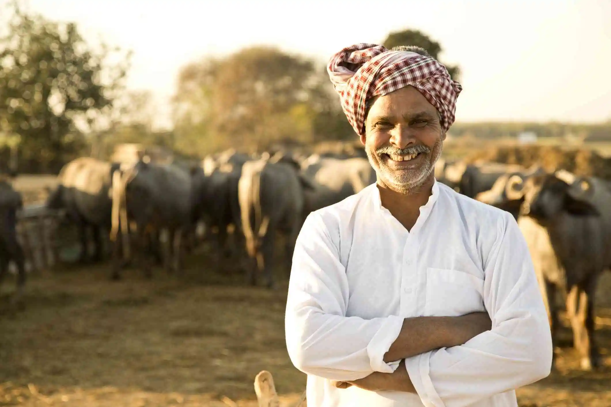 వ్యవసాయ అనుబంధ కార్యకలాపాల కోసం రుణాలు