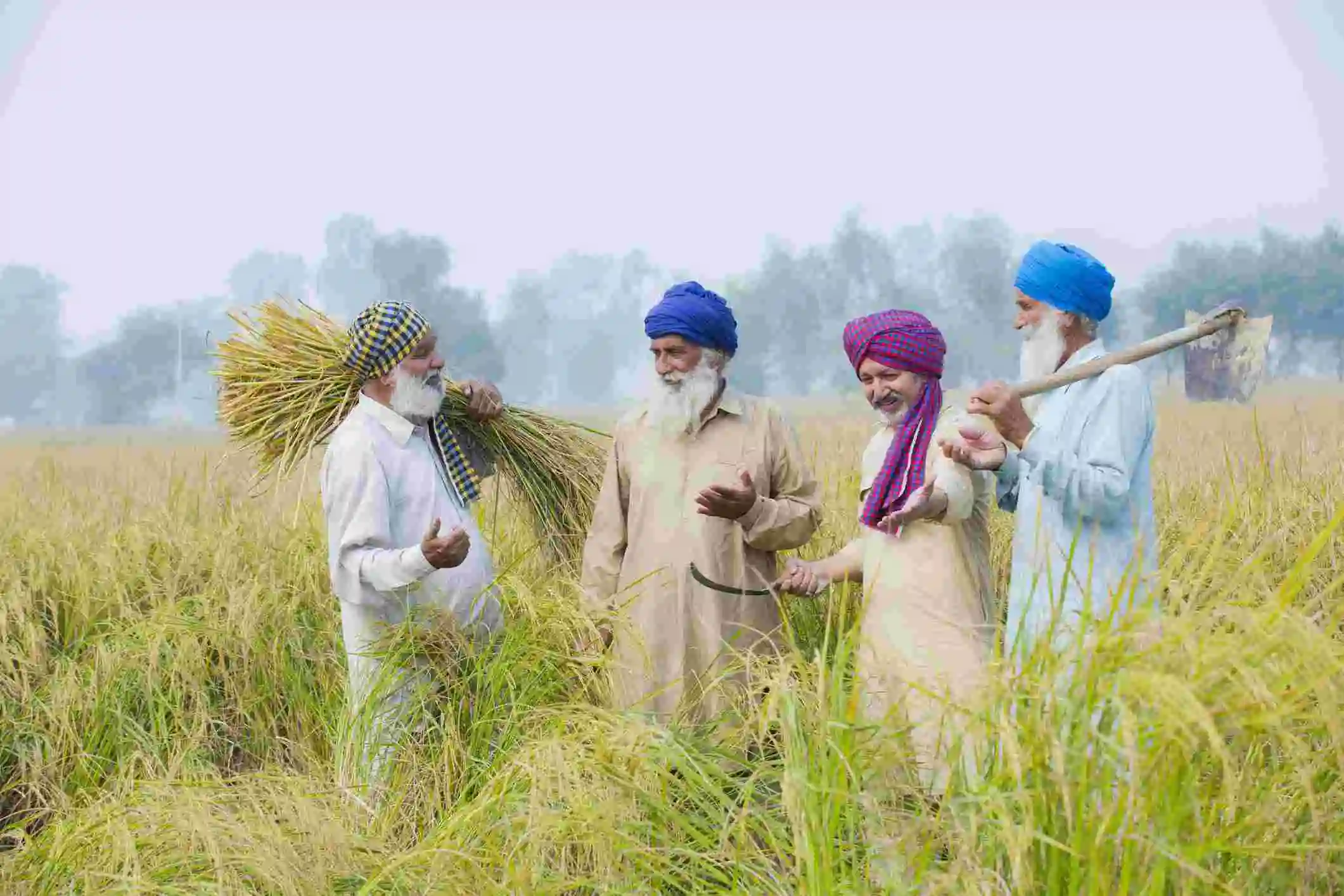 STAR FARMER PRODUCER ORGANISATIONS SCHEME