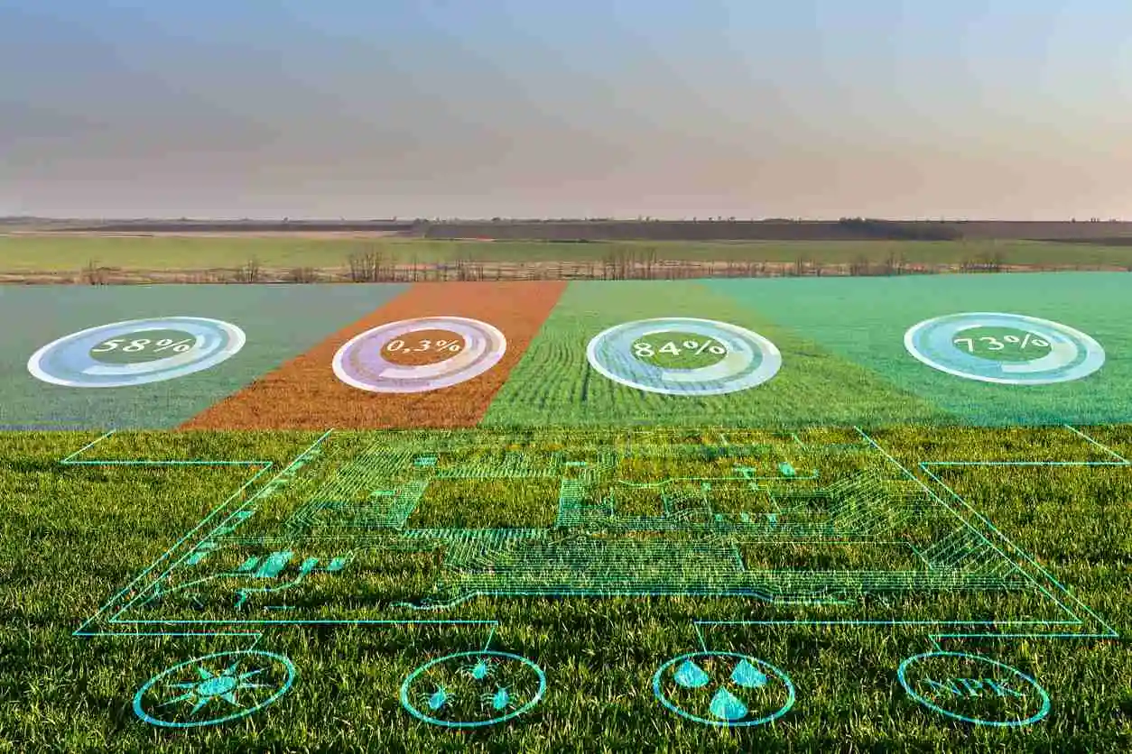 Online Land Record Details